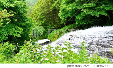 栃木縣日光市的湯瀧瀑布 110987650