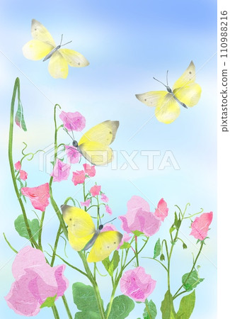 Watercolor style illustration of spring flowers Sweet Pea and butterflies 110988216