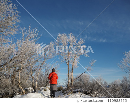 Staring at the hoarfrost 2 110988553