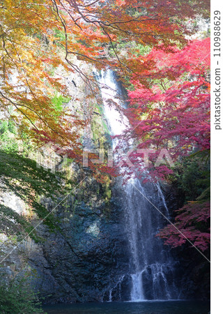 Minoh Falls in autumn leaves season-1 110988629