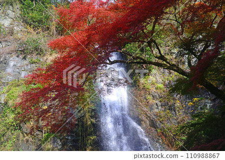 Minoh Falls in autumn leaves season-11 110988867