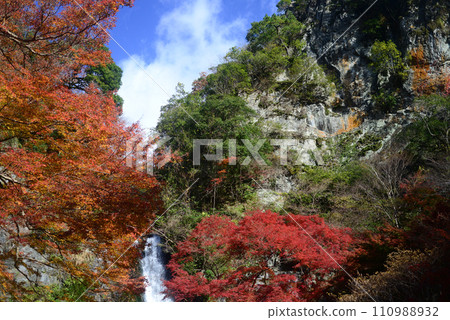 秋葉季節 23 的箕面瀑布 110988932