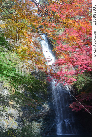 秋葉季節 22 的箕面瀑布 110988933