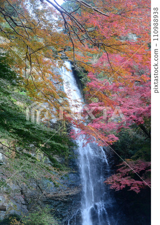 Minoh Falls in autumn leaves season-17 110988938