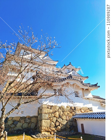 在藍天的姬路城堡 在藍天的姬路城堡 110989287