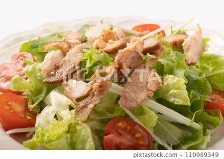 chicken char siu salad 110989349