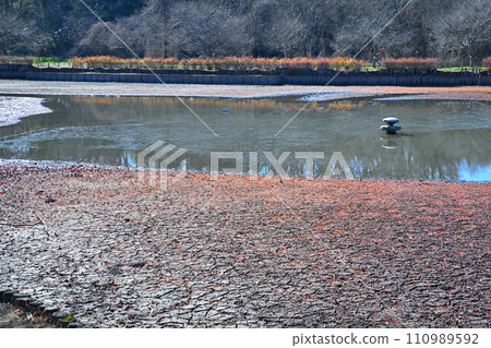 Winter waterside digging, winter scenery of Maruyama Park, Ageo City 110989592
