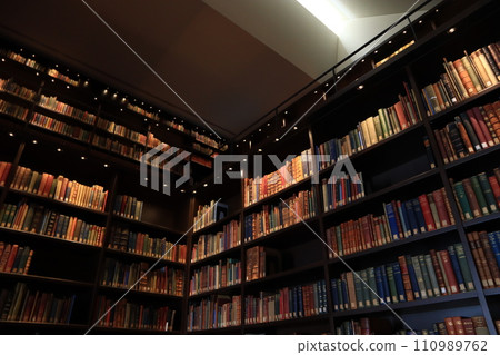 豪華書架 110989762