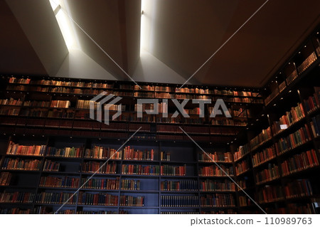 豪華書架 豪華書架 110989763