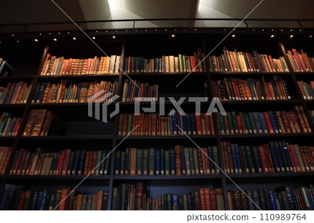 豪華書架 110989764