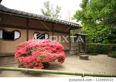 Visit Shisendo in spring 110990010