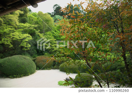 Visit Shisendo in spring Visit Shisendo in spring 110990260