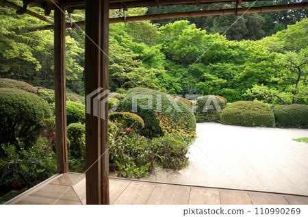 Visit Shisendo in spring Visit Shisendo in spring 110990269