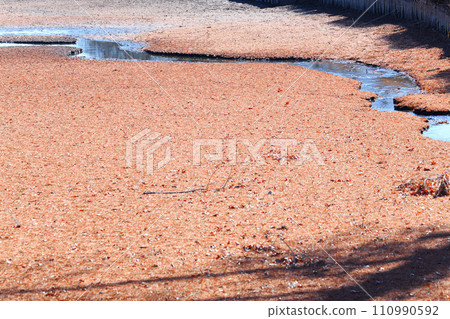 冬天的水邊挖掘,上尾市圓山公園的冬天風景 冬天的水邊挖掘,上尾市圓山公園的冬天風景 110990592