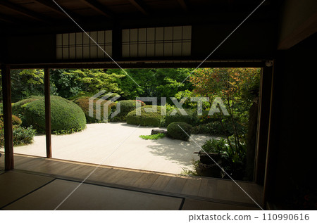 Visit Shisendo in spring 110990616