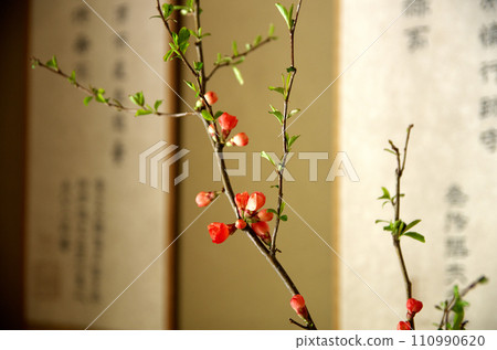 Visit Shisendo in spring 110990620