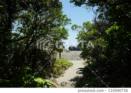 Japan Kochi Cape Muroto 110990736