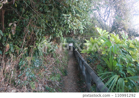 高雄山 高雄山 110991292