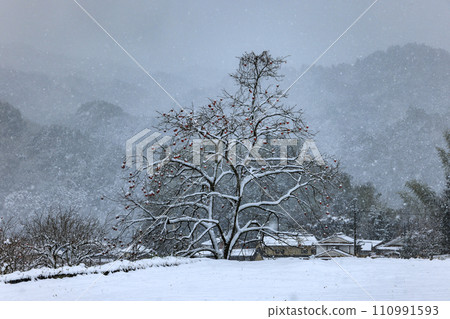 Persimmon remaining Persimmon remaining 110991593