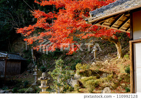 Saikyoji Temple in Sakamoto, Otsu City, Shiga Prefecture, guest hall garden and autumn leaves 110992128