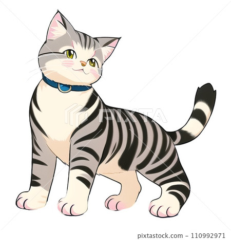 Cat's illustration 110992971