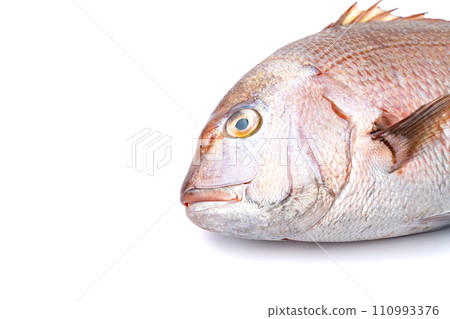 Red sea bream Thai fresh fish 110993376