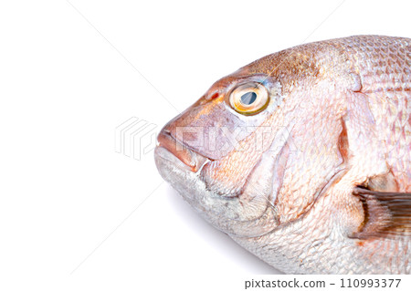 Red sea bream Thai fresh fish 110993377