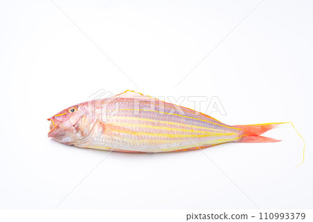 紅鯛魚新鮮的魚 110993379