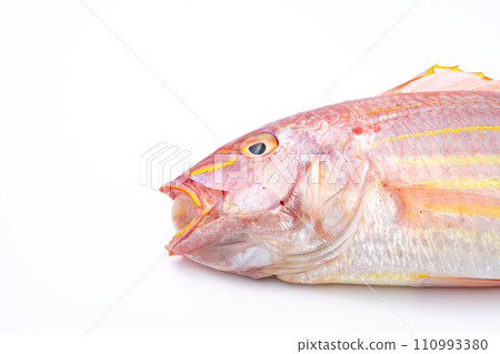 紅鯛魚新鮮的魚 110993380