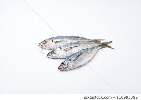 竹莢魚、竹莢魚、鮮魚 竹莢魚、竹莢魚、鮮魚 110993389