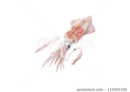Squid, squid, fresh fish 110993390