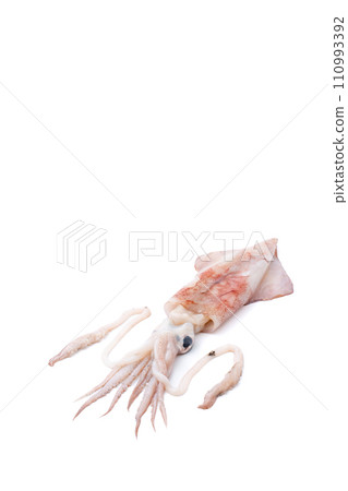 Squid, squid, fresh fish Squid, squid, fresh fish 110993392
