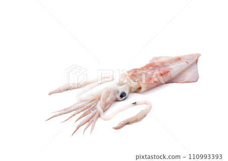 Squid, squid, fresh fish 110993393