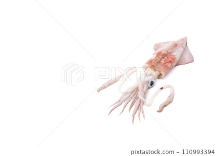 Squid, squid, fresh fish Squid, squid, fresh fish 110993394