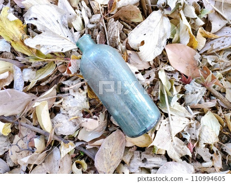 作為垃圾丟掉的空瓶和落葉 作為垃圾丟掉的空瓶和落葉 110994605