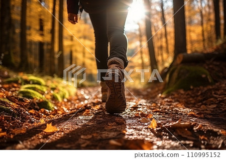 Sports shoe and legs on rock trail, hiker trekking or walking of footpath 110995152