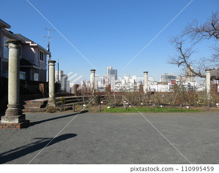 橫濱市中區元町百段公園俯瞰橫濱地標塔 橫濱市中區元町百段公園俯瞰橫濱地標塔 110995459