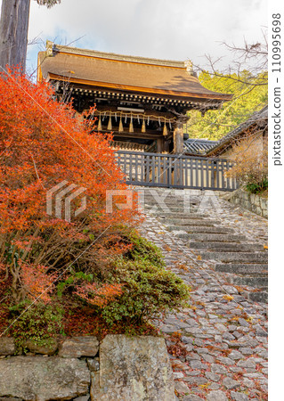 Bishamon-do Temple in Yamashina Ward, Kyoto City, Chokushimon Gate and Autumn leaves of Doudan Tsutsuji Bishamon-do Temple in Yamashina Ward, Kyoto City, Chokushimon Gate and Autumn leaves of Doudan Tsutsuji 110995698