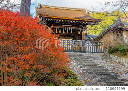 Bishamon-do Temple in Yamashina Ward, Kyoto City, Chokushimon Gate and Autumn leaves of Doudan Tsutsuji Bishamon-do Temple in Yamashina Ward, Kyoto City, Chokushimon Gate and Autumn leaves of Doudan Tsutsuji 110995699