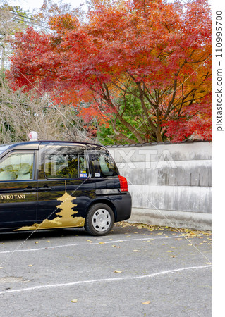Autumn leaves in the Bishamondo parking lot in Yamashina Ward, Kyoto City 110995700