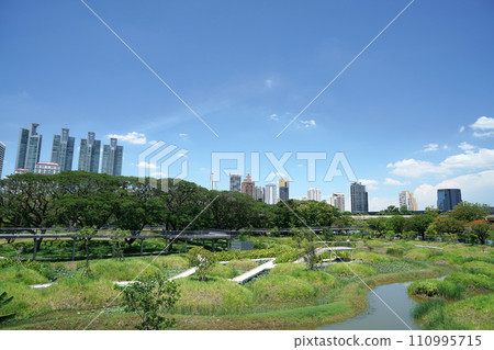 Benjakitti forest park in Bangkok 110995715