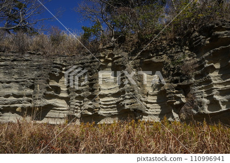 鎌倉的 Onarubatake 大銀行 鎌倉的 Onarubatake 大銀行 110996941