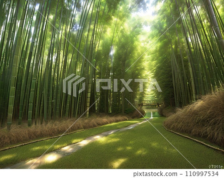 bamboo forest background bamboo forest background 110997534