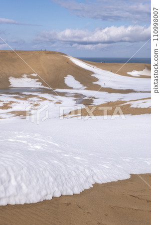 鳥取沙丘的雪景 鳥取沙丘的雪景 110998007
