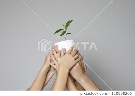 Environment protection concept. Human hands with green plant on gray background Environment protection concept. Human hands with green plant on gray background 110998206