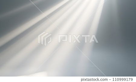 自然光背景捕捉柔和的光線 110999179