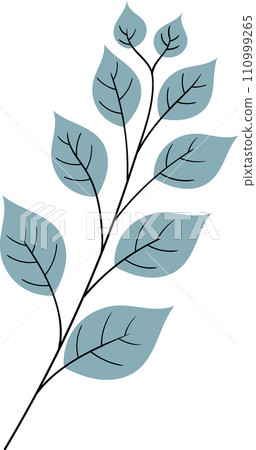 plant branch with grey leaves entering autumn 110999265
