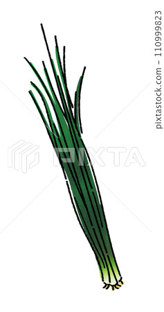 Blue onion 110999823