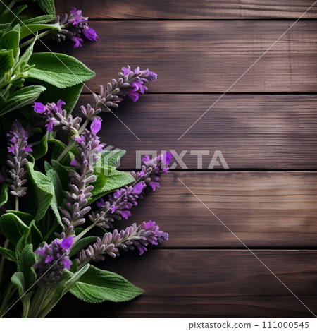 Sage herbal on wooden backgrounds Sage herbal on wooden backgrounds 111000545