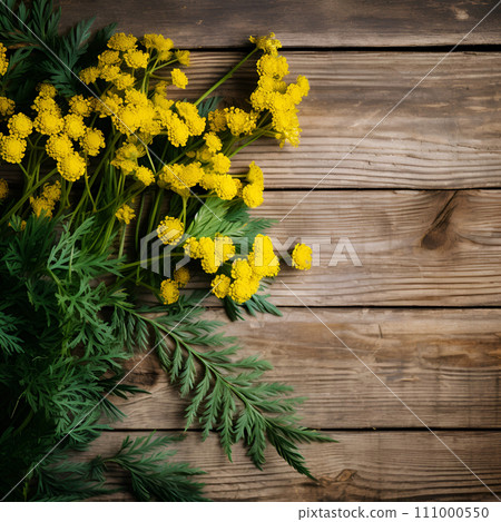 Tansy grass on a wooden board 111000550